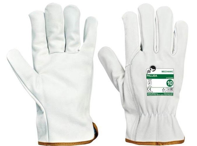 FH Pallida bőrkesztyű termék fő termékképe