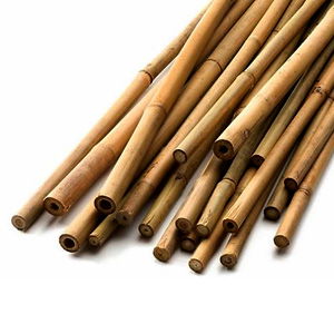 Bamboo Bambusz Termesztő Karó 150 cm  2db/csom. termék fő termékképe